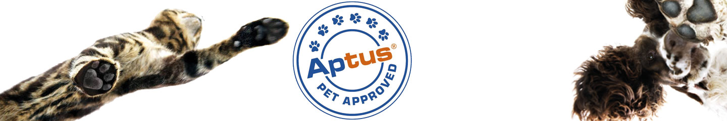 aptus.no.storynews.se
